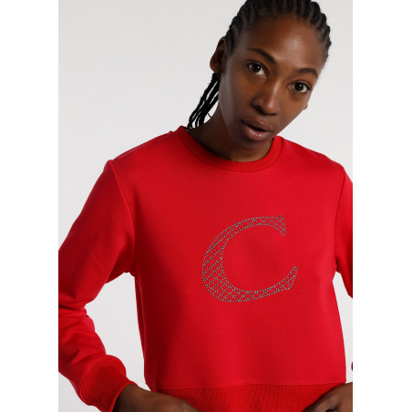 SweaT-shirt à col roulé